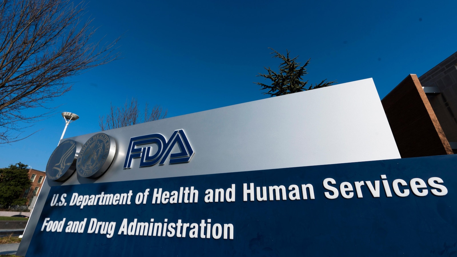 FDA rejects psychedelic MDMA as treatment for PTSD, calling for additional study