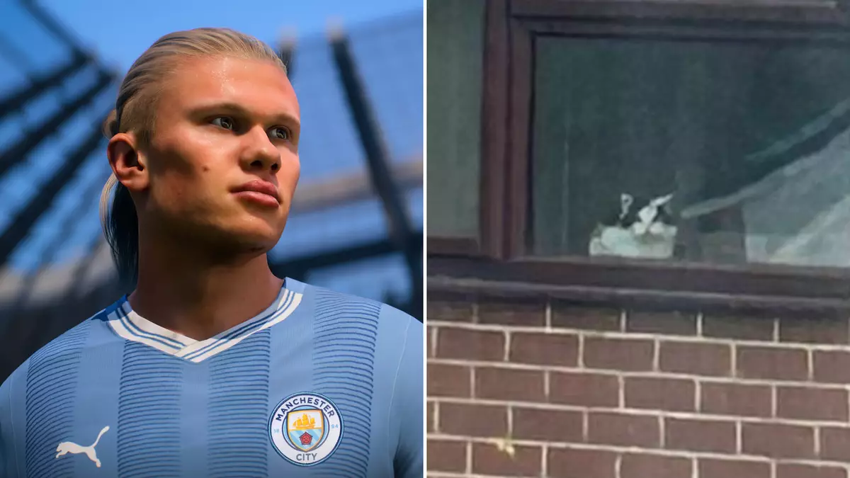 Reddit user goes viral after revealing EA FC 24 helped save his cat’s life