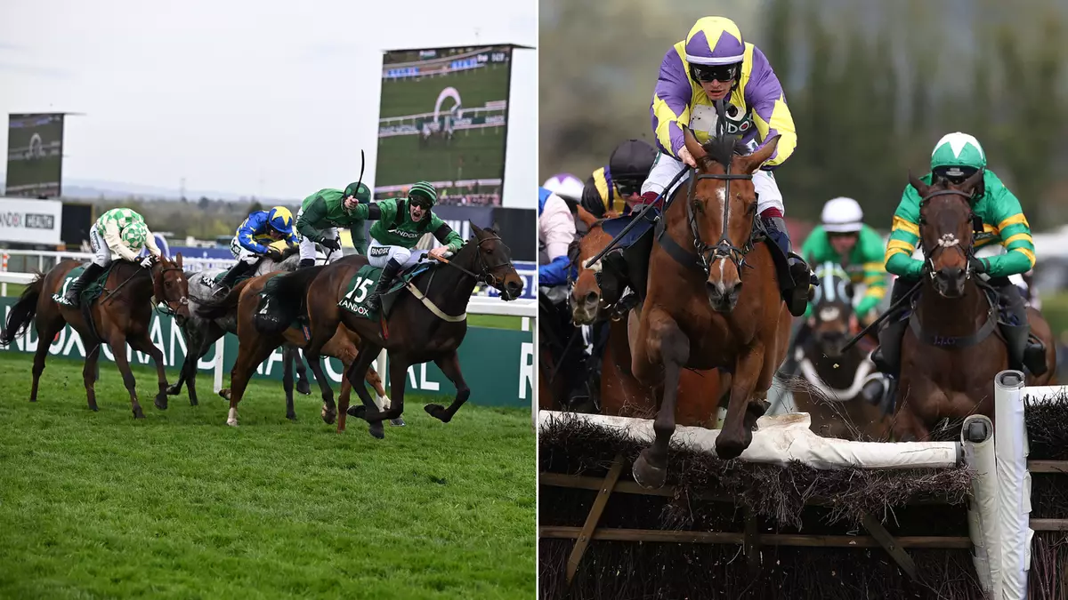 Why there are less horses running in the Grand National 2024