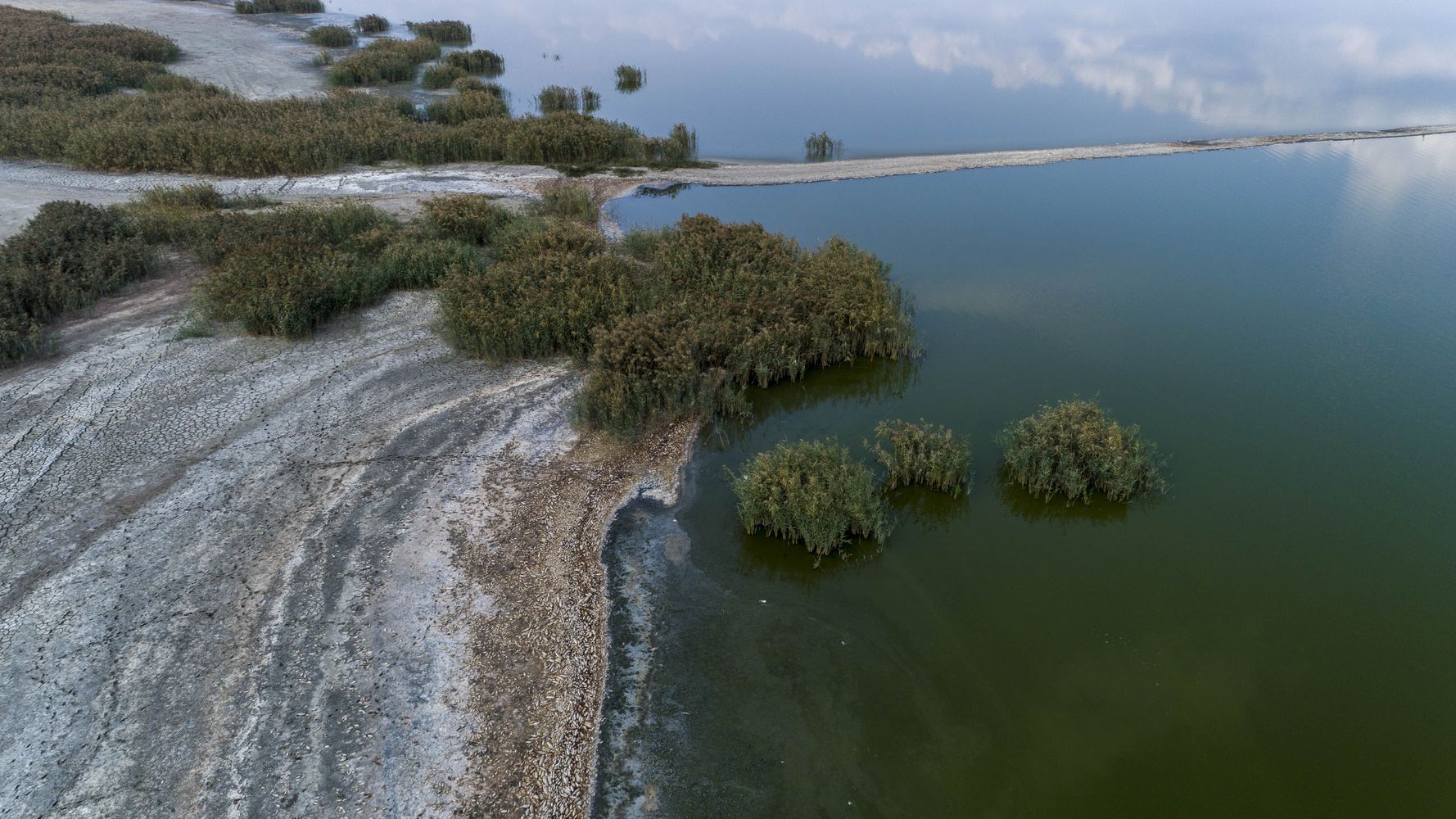 Λίμνη Κορώνεια: Η κλιματική αλλαγή την μετέτρεψε σε βάλτο – Νεκρά πουλιά στις όχθες (Βίντεο)