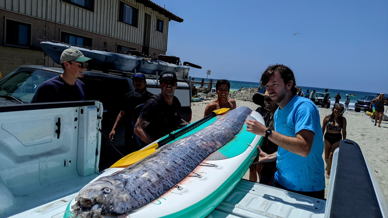 A rarely seen deep sea fish is found in California, and scientists want to know why