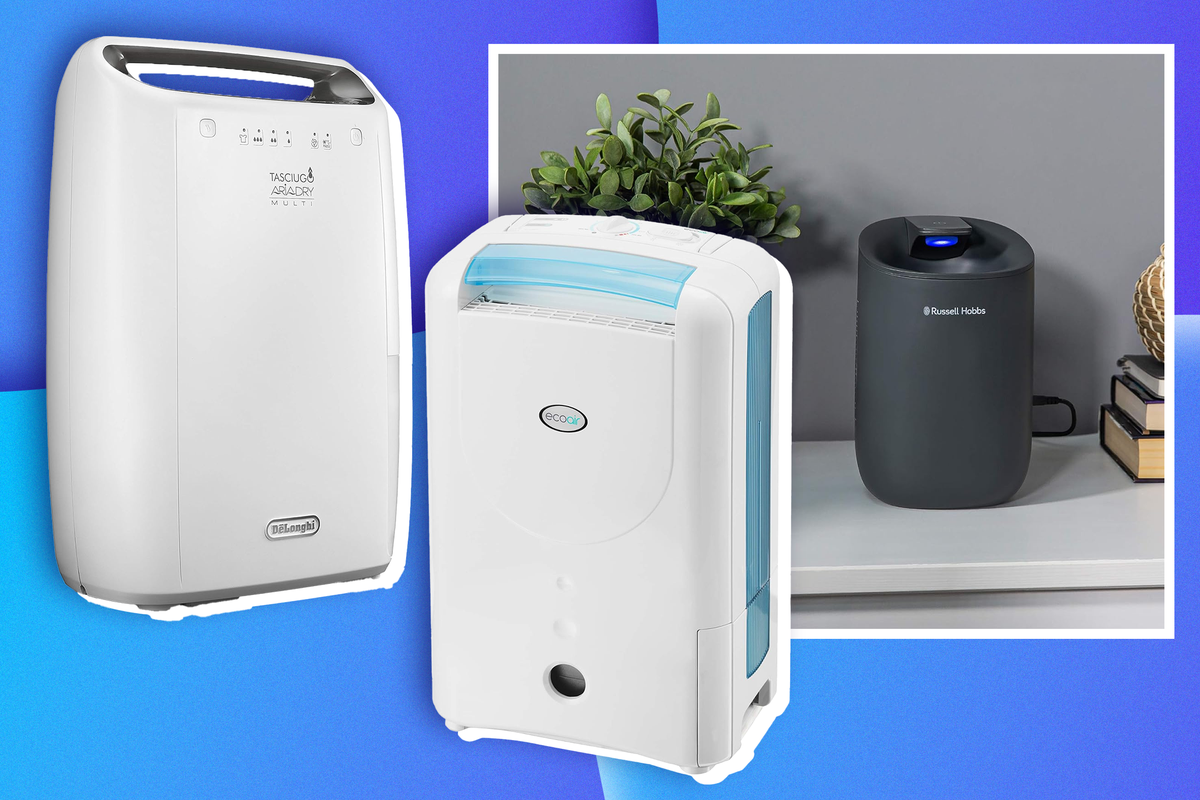 Best dehumidifiers 2024, tried and tested for damp and mould