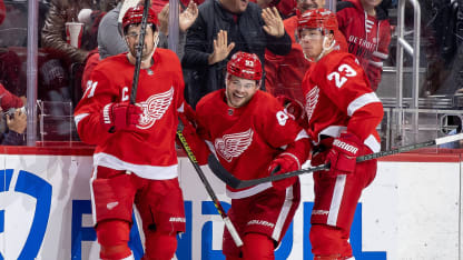 Detroit Red Wings fantasy projections for 2024-25