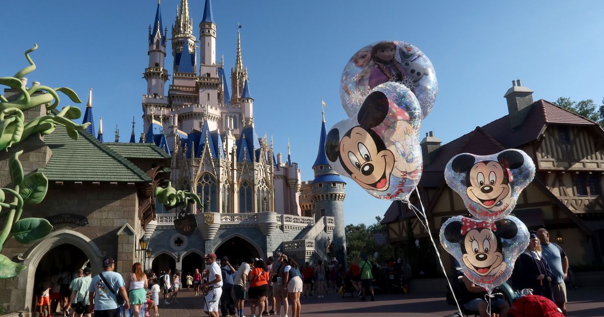 Disney World Wrongful-Death Lawsuit Explained