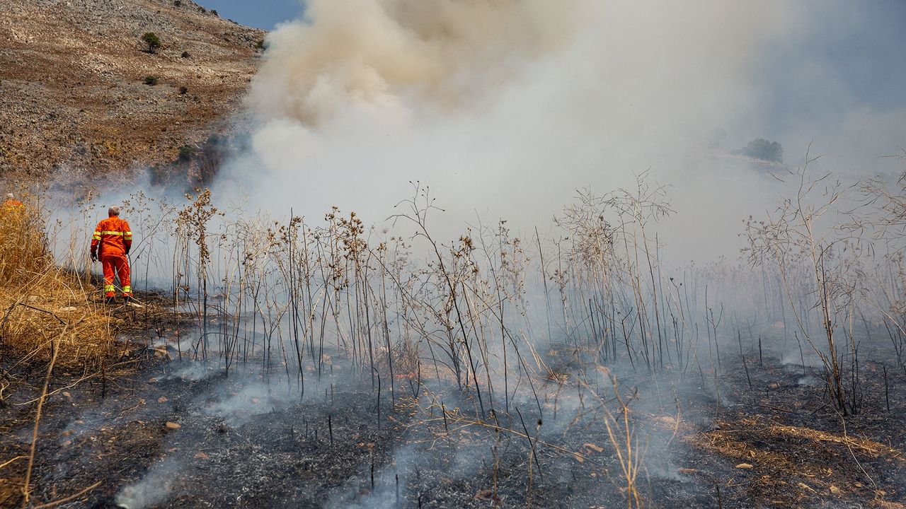 How wildfires are changing face of the Mediterranean landscape