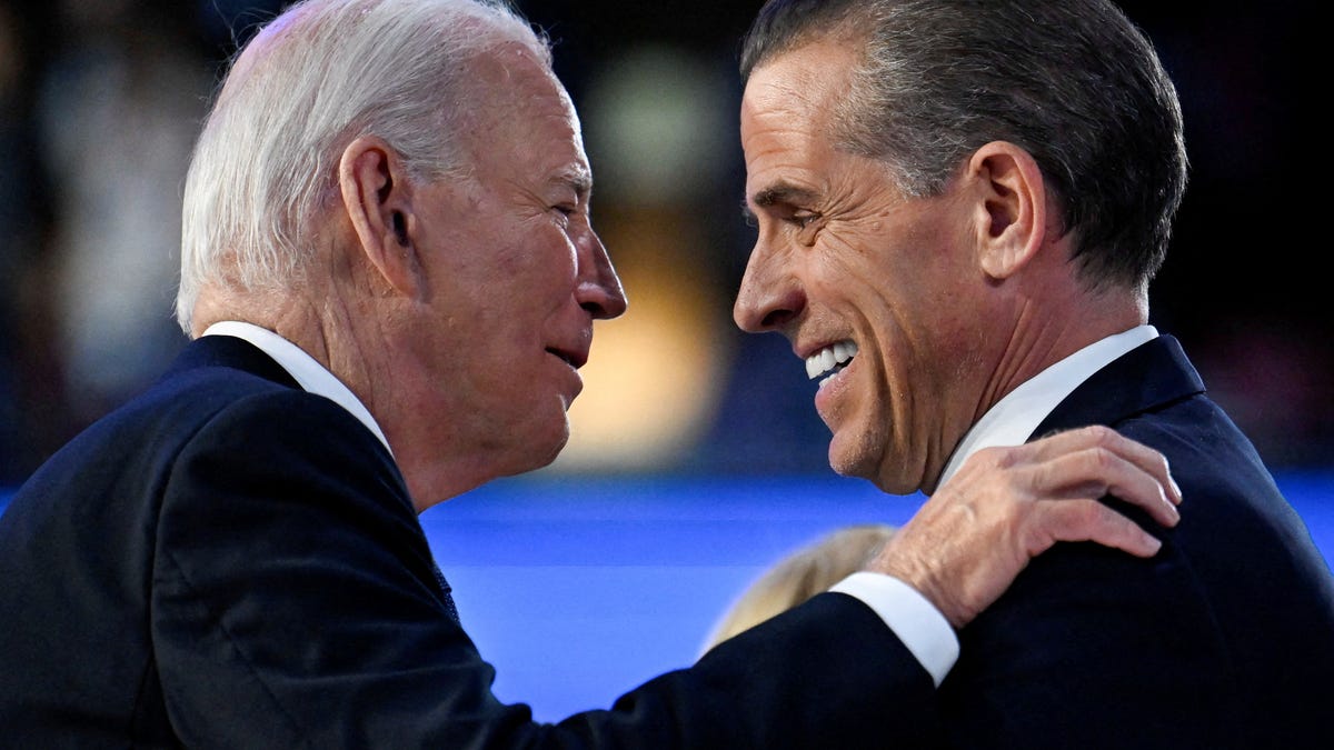 ‘I will not subject my family to more pain:’ Hunter Biden pleads guilty to tax charges