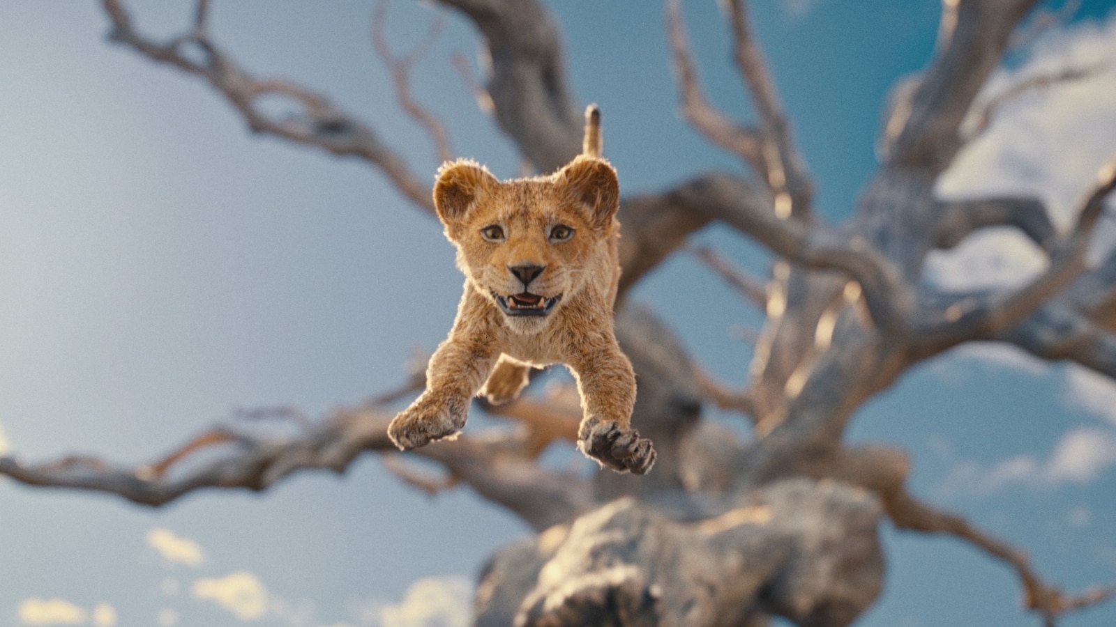 New ‘Mufasa: The Lion King’ trailer released at D23: Watch here