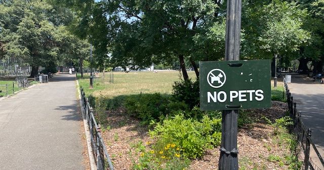 New York’s Dog Parks Are Getting Renovated