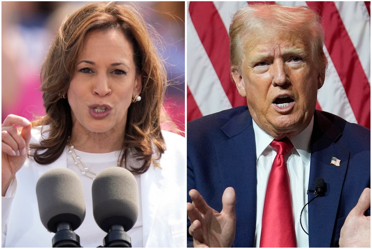 Should Kamala Harris fight fire with fire in the battle over economic policy?