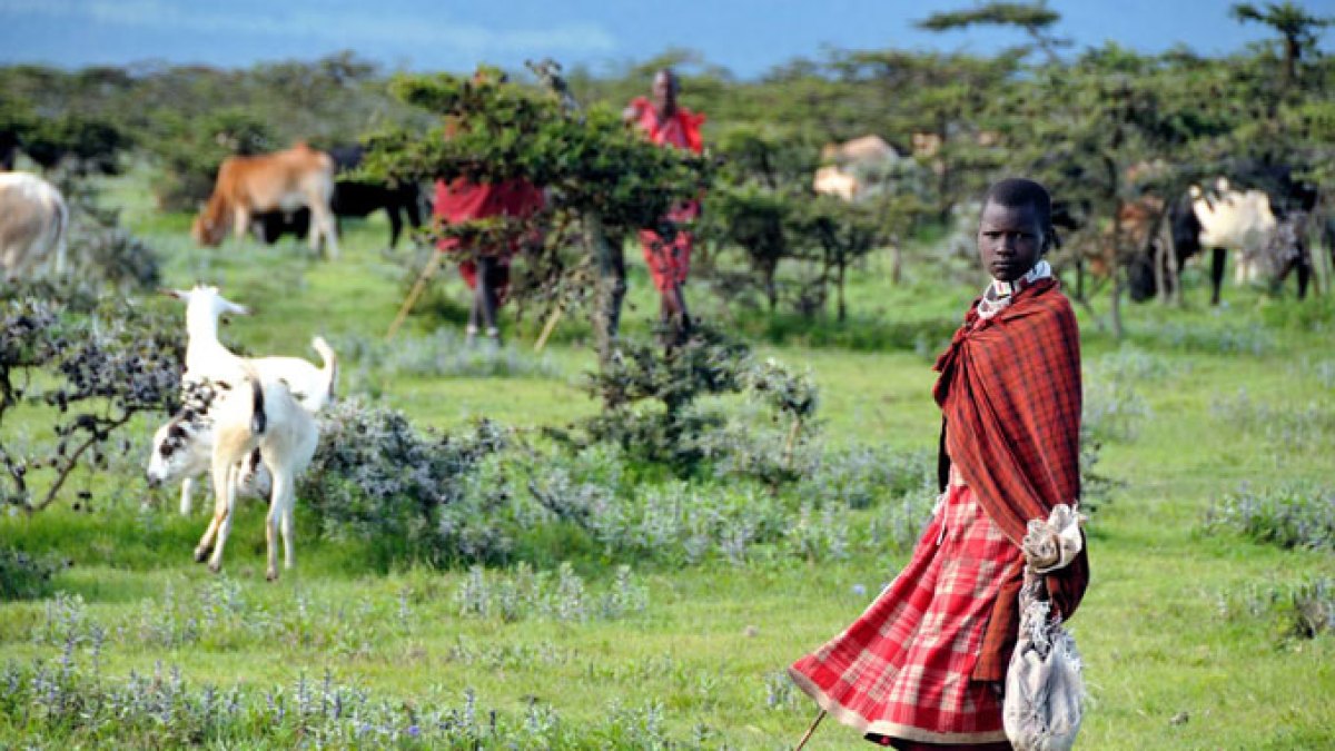 Tanzania’s conservation concerns do not excuse violations of Maasai rights