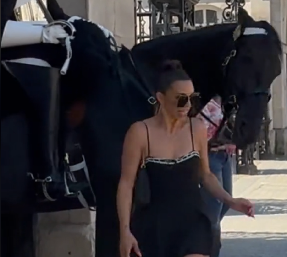 Vanderpump Rules star becomes latest to be bitten by King’s Guard horse