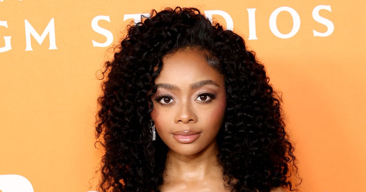 Was Skai Jackson Arrested While Pregnant and Engaged?