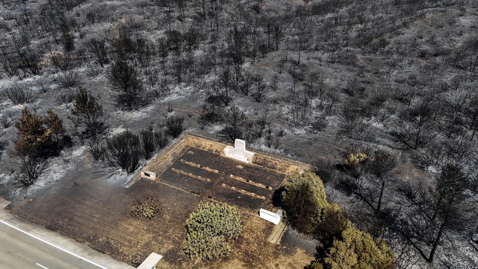 Wildfires in western Turkey threaten homes on city outskirts